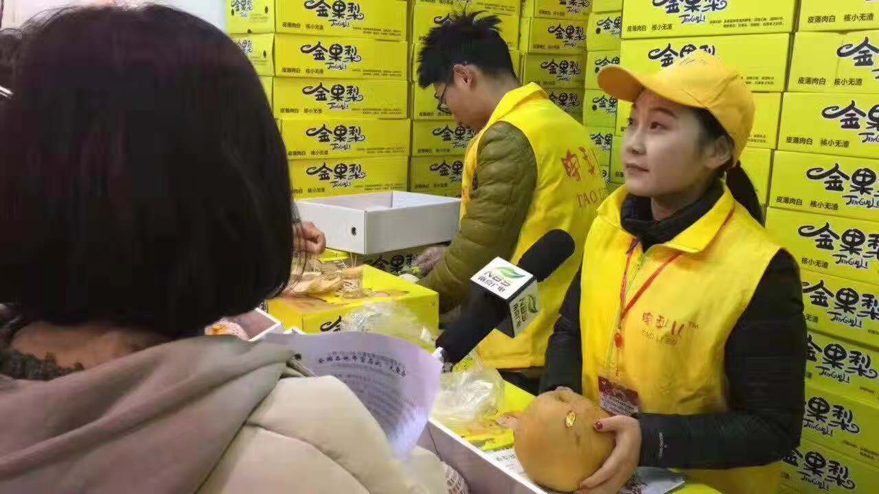 陶梨兒金果梨合肥展會客流量引爆，各媒體爭向采訪